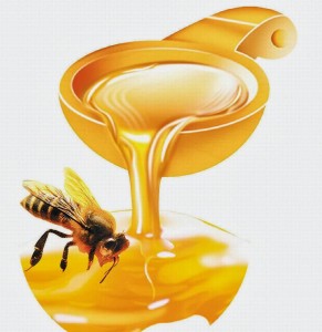 Tìm hiểu máy chiết rót mật ong ưu việt